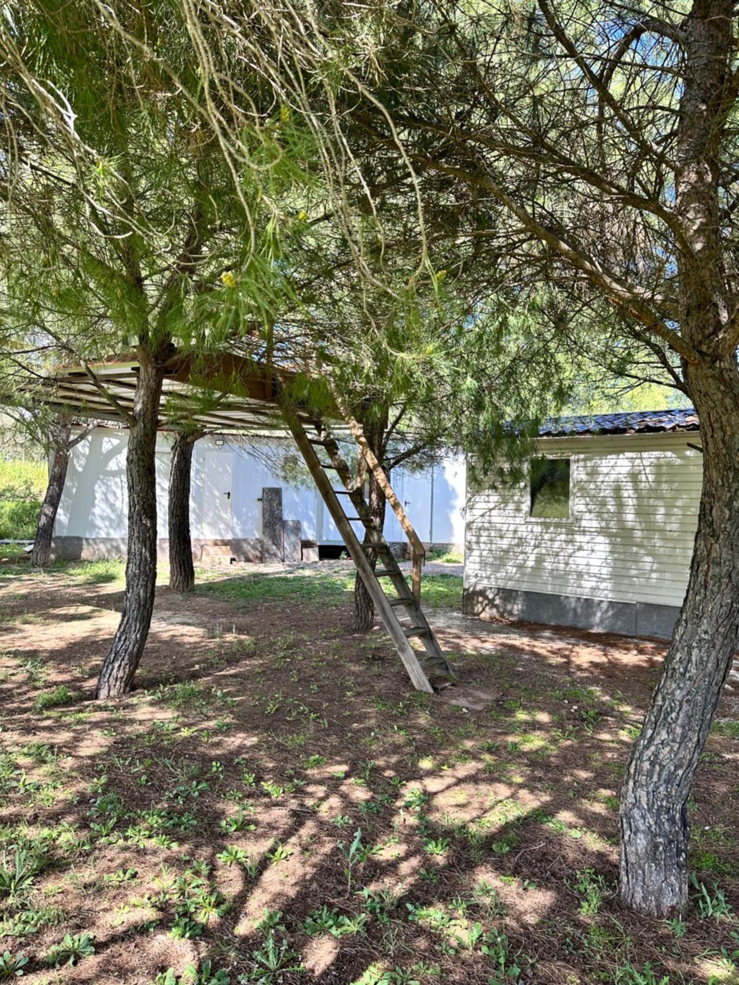 Bungalow Infanta Torrelaguna 외부 사진