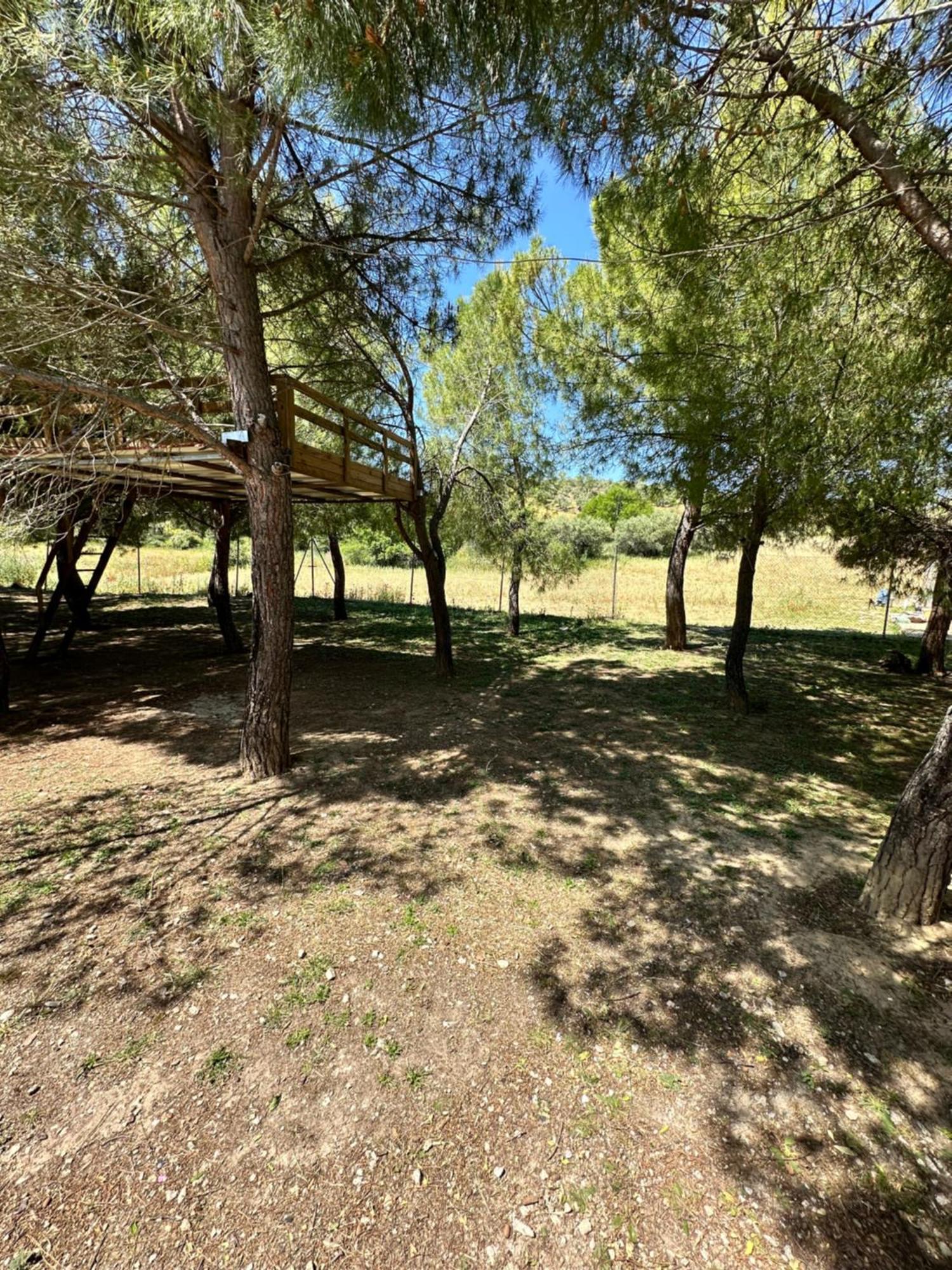 Bungalow Infanta Torrelaguna 외부 사진