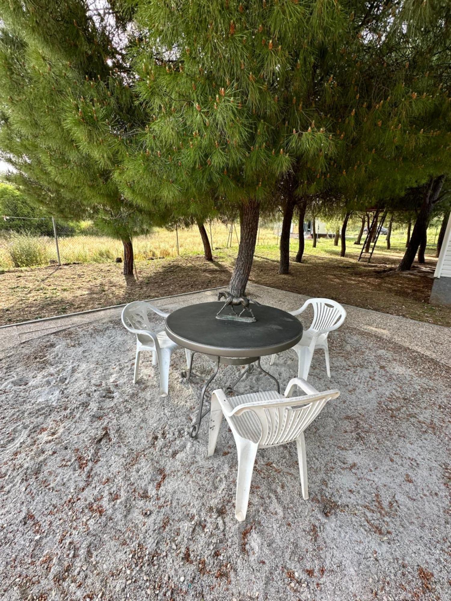 Bungalow Infanta Torrelaguna 외부 사진
